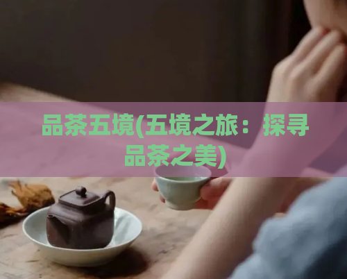 品茶五境(五境之旅：探寻品茶之美)
