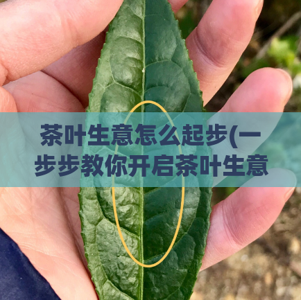 茶叶生意怎么起步(一步步教你开启茶叶生意：起步指南)