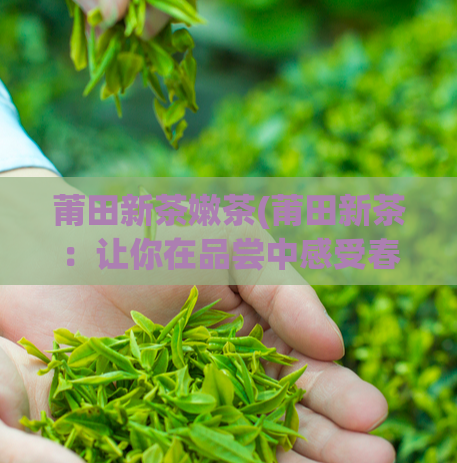 莆田新茶嫩茶(莆田新茶：让你在品尝中感受春天的气息)