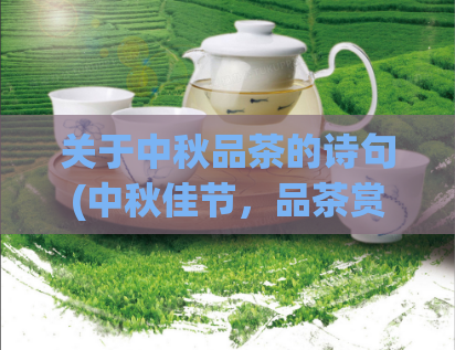 关于中秋品茶的诗句(中秋佳节，品茶赏月自古传)