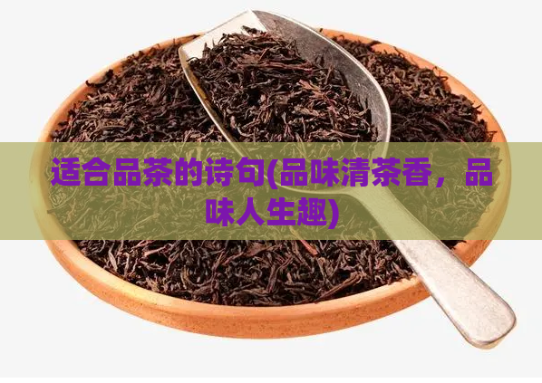 适合品茶的诗句(品味清茶香，品味人生趣)