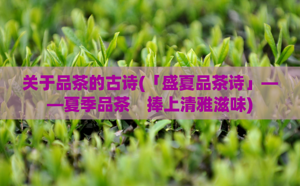 关于品茶的古诗(「盛夏品茶诗」——夏季品茶　捧上清雅滋味)