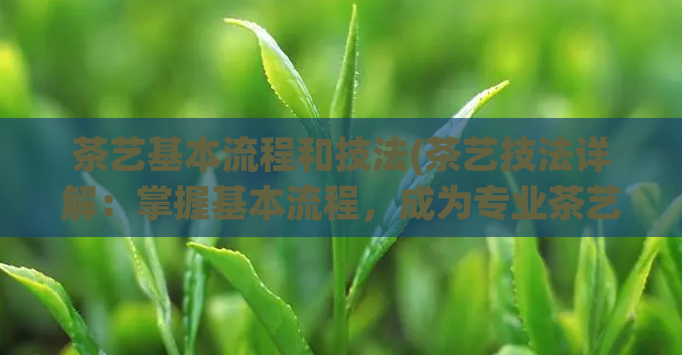 茶艺基本流程和技法(茶艺技法详解：掌握基本流程，成为专业茶艺师)