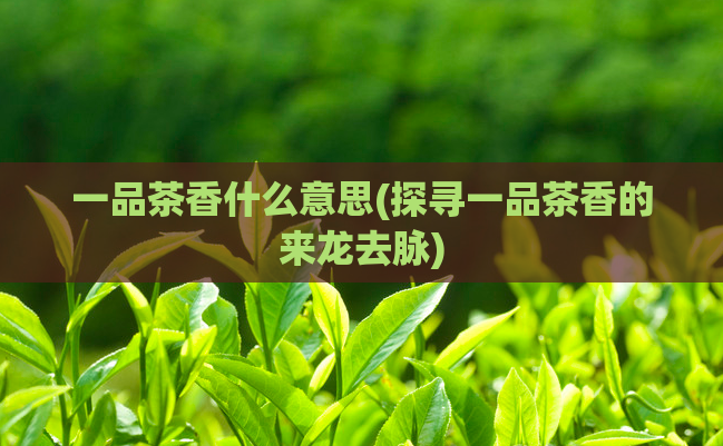 一品茶香什么意思(探寻一品茶香的来龙去脉)
