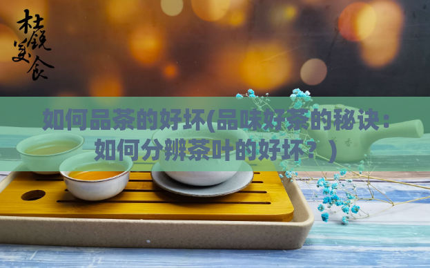 如何品茶的好坏(品味好茶的秘诀：如何分辨茶叶的好坏？)