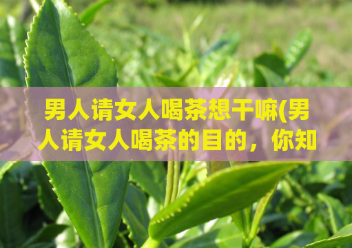 男人请女人喝茶想干嘛(男人请女人喝茶的目的，你知道吗？)
