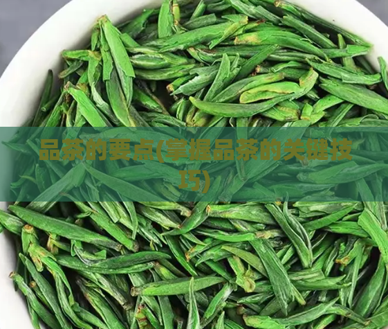 品茶的要点(掌握品茶的关键技巧)