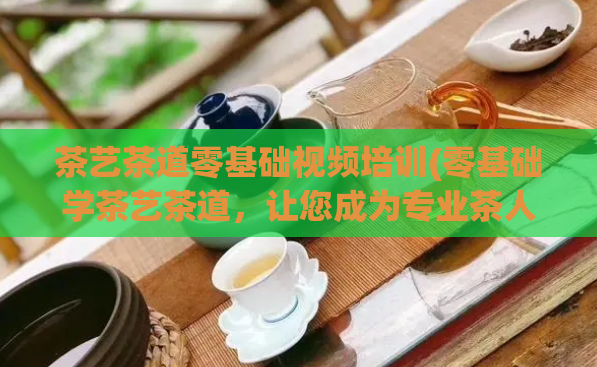 茶艺茶道零基础视频培训(零基础学茶艺茶道，让您成为专业茶人)