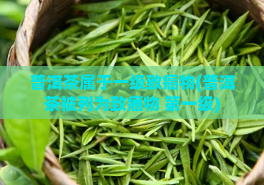 普洱茶属于一级致癌物(普洱茶被列为致癌物 第一级)