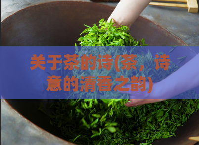 关于茶的诗(茶，诗意的清香之韵)