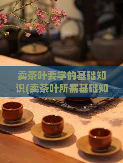 卖茶叶要学的基础知识(卖茶叶所需基础知识力推荐)