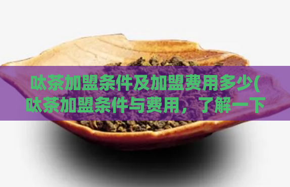呔茶加盟条件及加盟费用多少(呔茶加盟条件与费用，了解一下！)