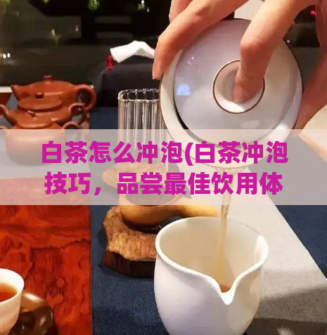 白茶怎么冲泡(白茶冲泡技巧,品尝最佳饮用体验)