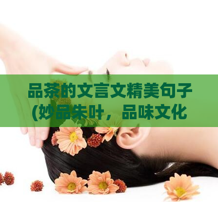 品茶的文言文精美句子(妙品朱叶,品味文化的深意)