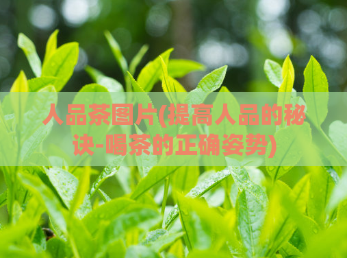 人品茶图片(提高人品的秘诀-喝茶的正确姿势)