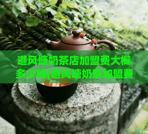 避风塘奶茶店加盟费大概多少钱(避风塘奶茶加盟费用大概多少？)