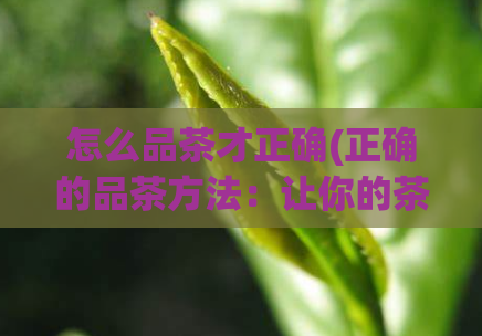 怎么品茶才正确(正确的品茶方法：让你的茶变得更好喝)