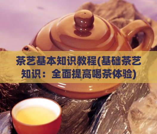 茶艺基本知识教程(基础茶艺知识：全面提高喝茶体验)