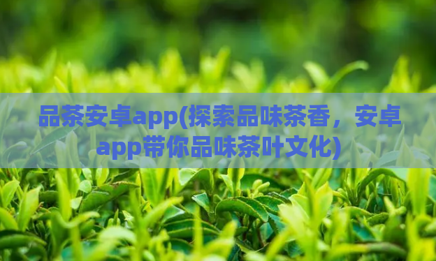 品茶安卓app(探索品味茶香，安卓app带你品味茶叶文化)
