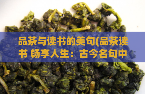 品茶与读书的美句(品茶读书 畅享人生：古今名句中的文化智慧)