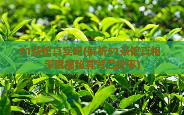 51茶馆真实吗(解析51茶馆真相，深度揭秘其背后故事)