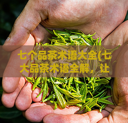 七个品茶术语大全(七大品茶术语全解，让你品出不一样的茶趣)