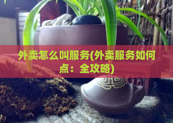 外卖怎么叫服务(外卖服务如何点：全攻略)