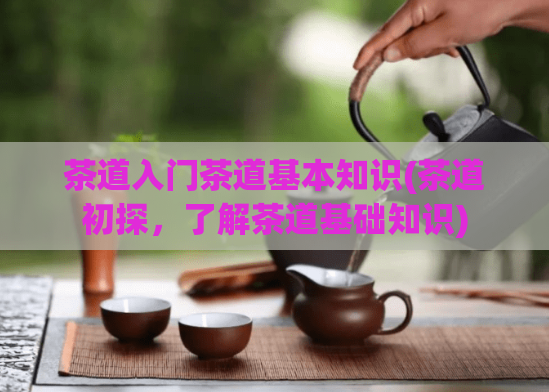 茶道入门茶道基本知识(茶道初探，了解茶道基础知识)
