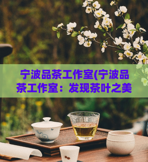 宁波品茶工作室(宁波品茶工作室:发现茶叶之美与文化精髓)