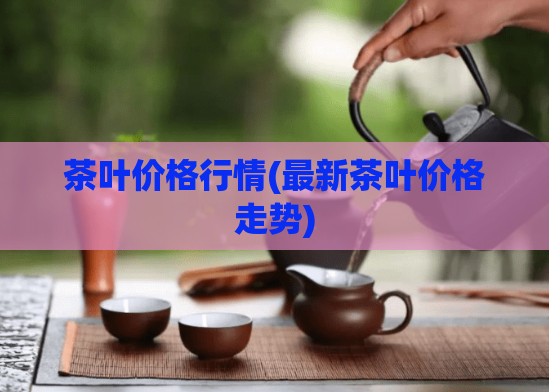 茶叶价格行情(最新茶叶价格走势)