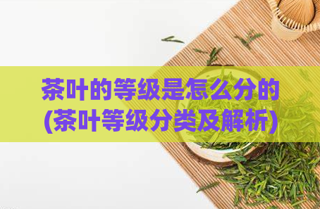 茶叶的等级是怎么分的(茶叶等级分类及解析)