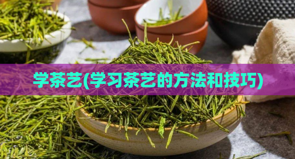 学茶艺(学习茶艺的方法和技巧)