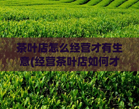 茶叶店怎么经营才有生意(经营茶叶店如何才能获得成功)