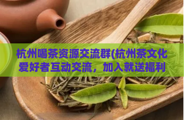 杭州喝茶资源交流群(杭州茶文化爱好者互动交流,加入就送福利!)