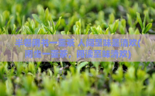 半卷闲书一壶茶 人间至味是清欢(闲坐一壶茶,阅读至味清欢)