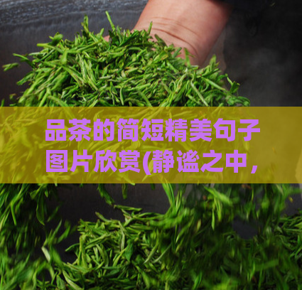 品茶的简短精美句子图片欣赏(静谧之中，品味香茶的芬芳)