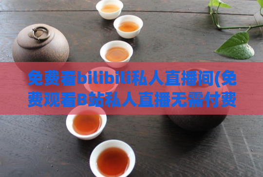 免费看bilibili私人直播间(免费观看B站私人直播无需付费,最新活动限时优惠!)