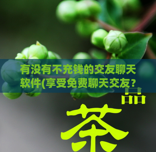 有没有不充钱的交友聊天软件(享受免费聊天交友?推荐这些高质量app!)