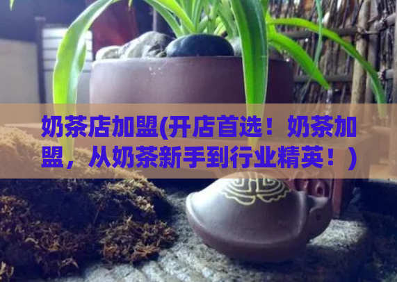 奶茶店加盟(开店首选!奶茶加盟,从奶茶新手到行业精英!)