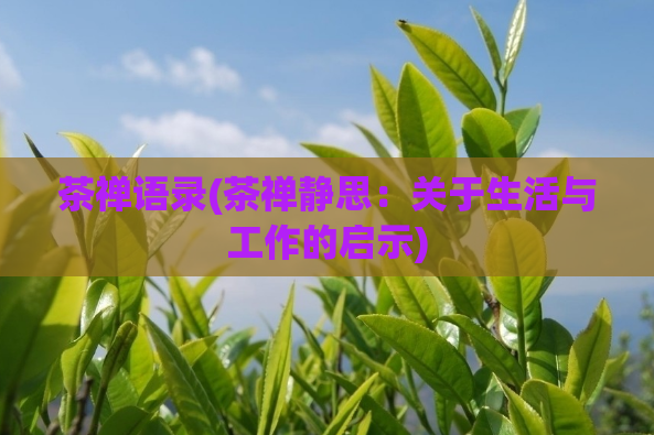 茶禅语录(茶禅静思：关于生活与工作的启示)