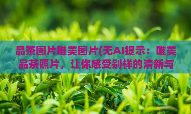 品茶图片唯美图片(无AI提示：唯美品茶照片，让你感受别样的清新与怡人)