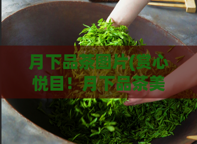 月下品茶图片(赏心悦目！月下品茶美图分享)