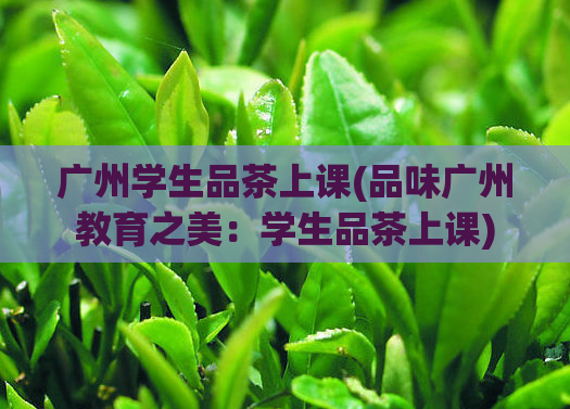 广州学生品茶上课(品味广州教育之美：学生品茶上课)