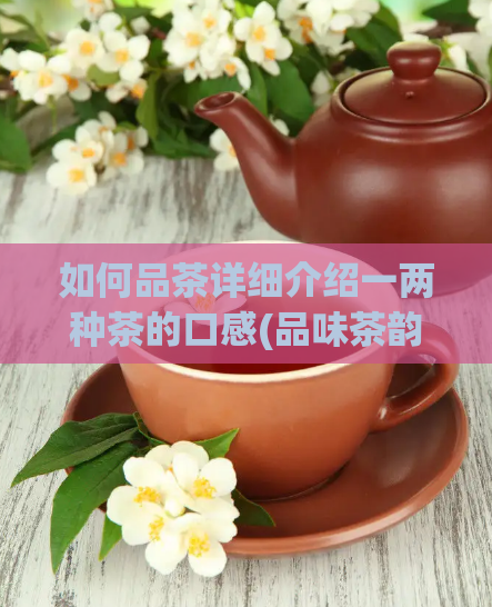 如何品茶详细介绍一两种茶的口感(品味茶韵，品味台湾高山茶的独特口感！)