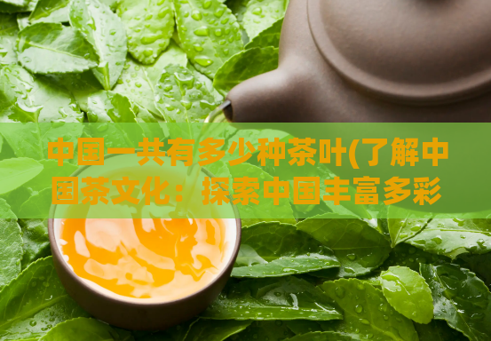 中国一共有多少种茶叶(了解中国茶文化：探索中国丰富多彩的茶叶品种)