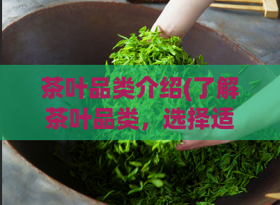 茶叶品类介绍(了解茶叶品类，选择适合自己的红茶、绿茶、乌龙茶等)