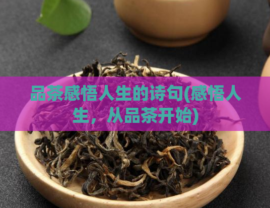 品茶感悟人生的诗句(感悟人生，从品茶开始)