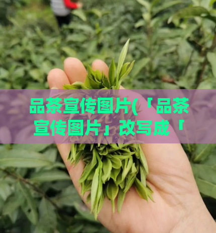 品茶宣传图片(「品茶宣传图片」改写成「品味清香，拍摄优美——茶叶宣传视觉盛宴」)