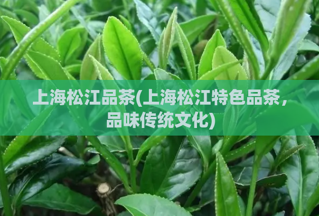 上海松江品茶(上海松江特色品茶，品味传统文化)