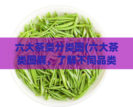 六大茶类分类图(六大茶类图解，了解不同品类的茶叶特色)